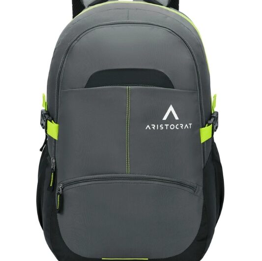 ARISTOCRAT Charge Laptop Backpack