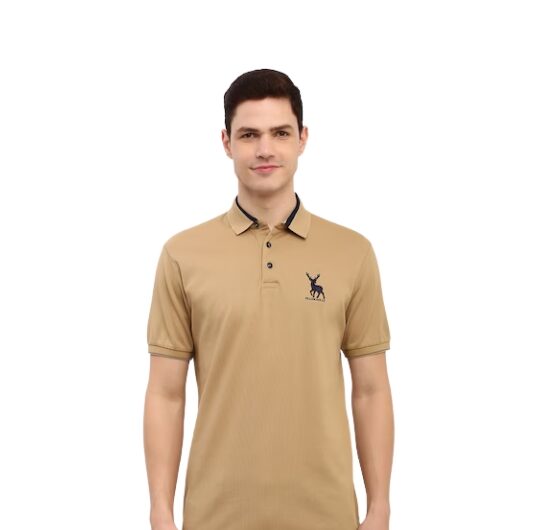 Allen Solly Polo T-Shirt