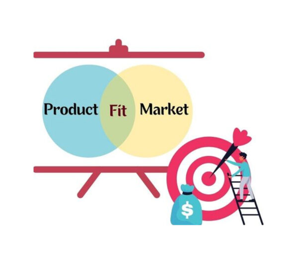 product fit audit