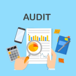 SME Finance Audit