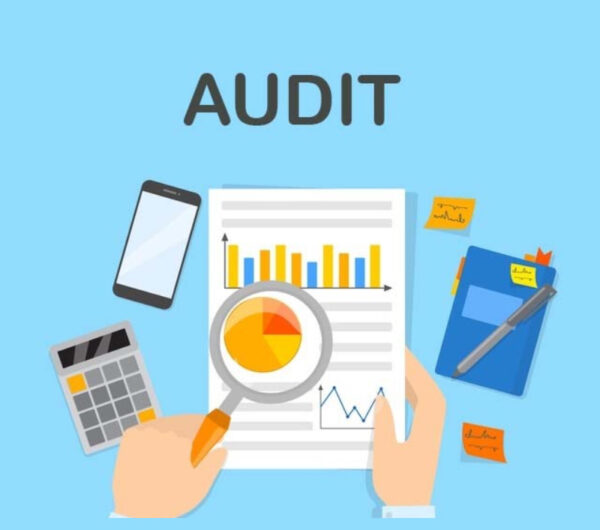sme audit