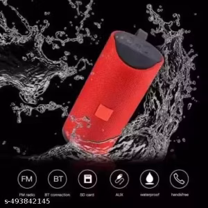 Portable Home Speaker