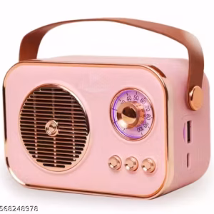 DSM Radio Vibrant Pink Bluetooth Speaker