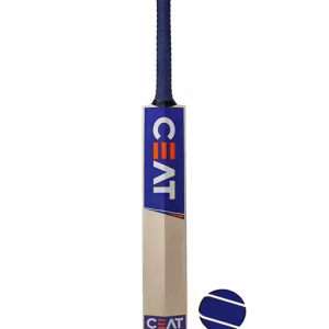 Cricket Bat
